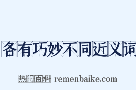 各有巧妙不同近义词是什么意思的图片